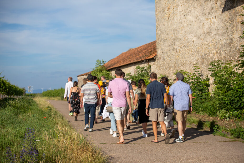 Weinwanderung in der Pfalz